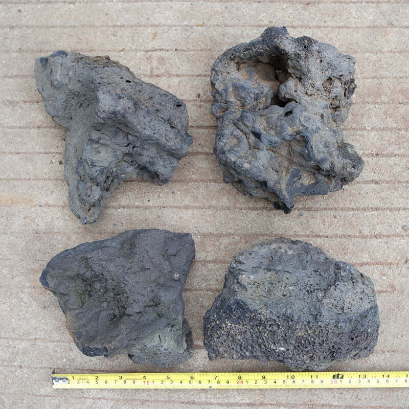 Blue Fairy (10kg packaging) - ZAS