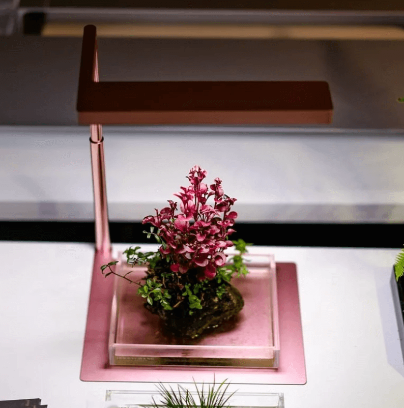 ONF - Flat Nano - Light with Stand - Rose Gold - ZAS