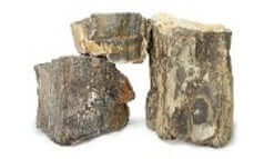 Fossil Wood (10 kg) - ZAS