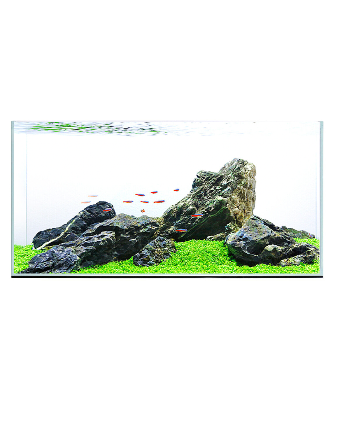 ZAS Ultra-Clear Glass Aquariums