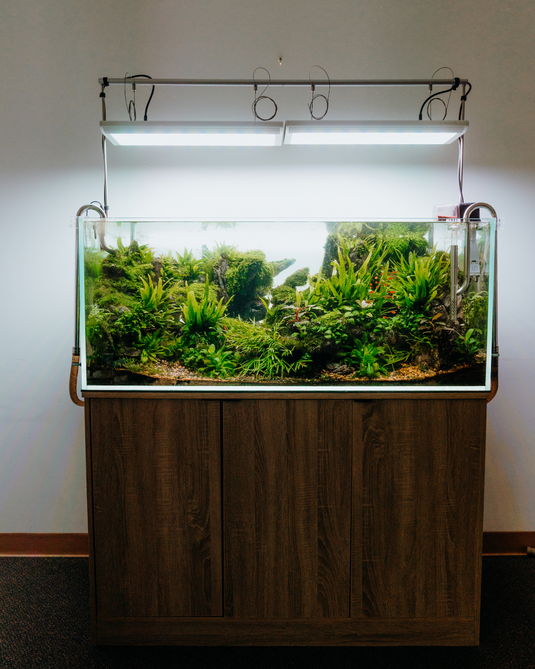 Curated visual reference: Visual Reference: Zas Ultra Clear Glass Aquariums