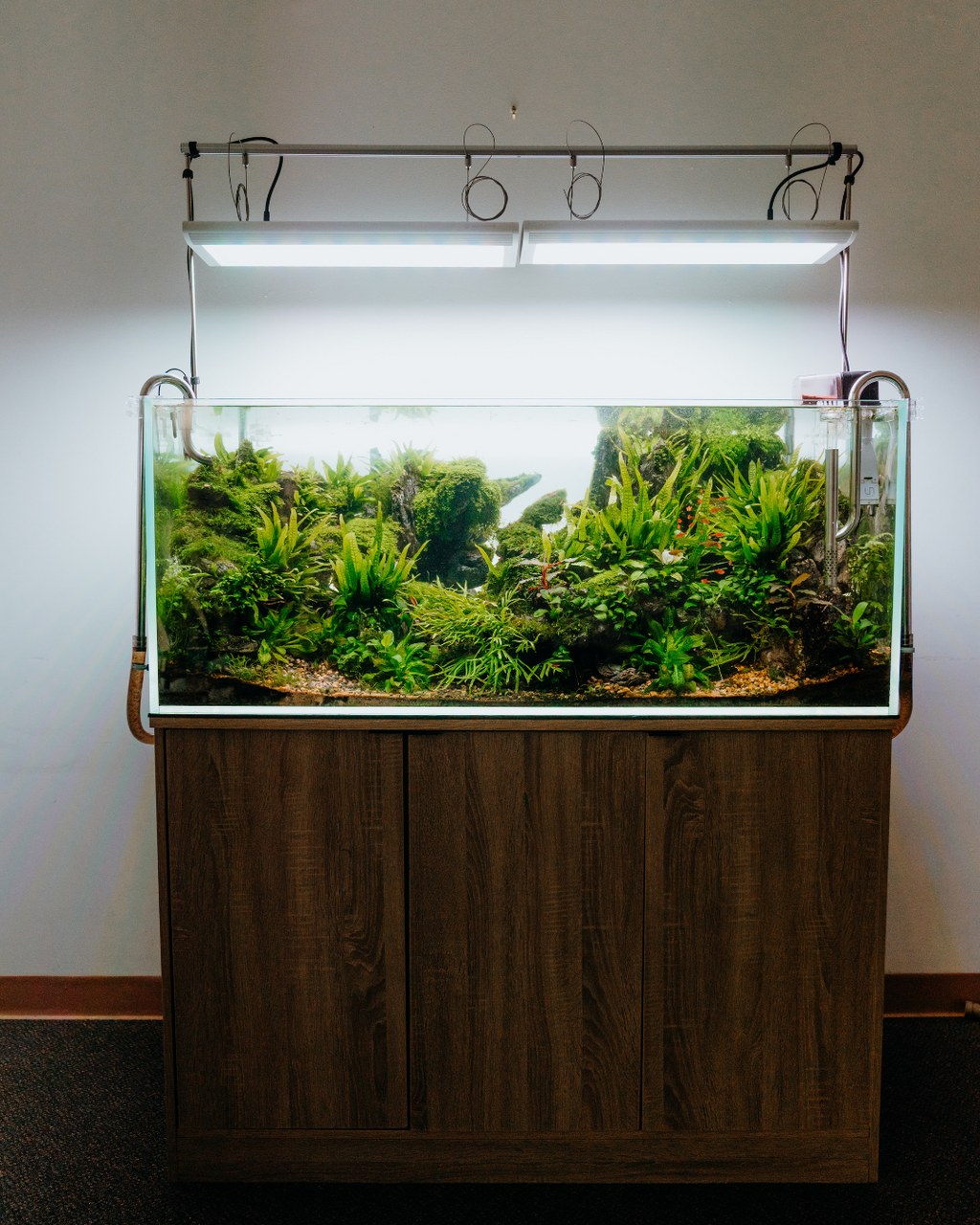 ZAS Ultra Clear Glass Aquariums