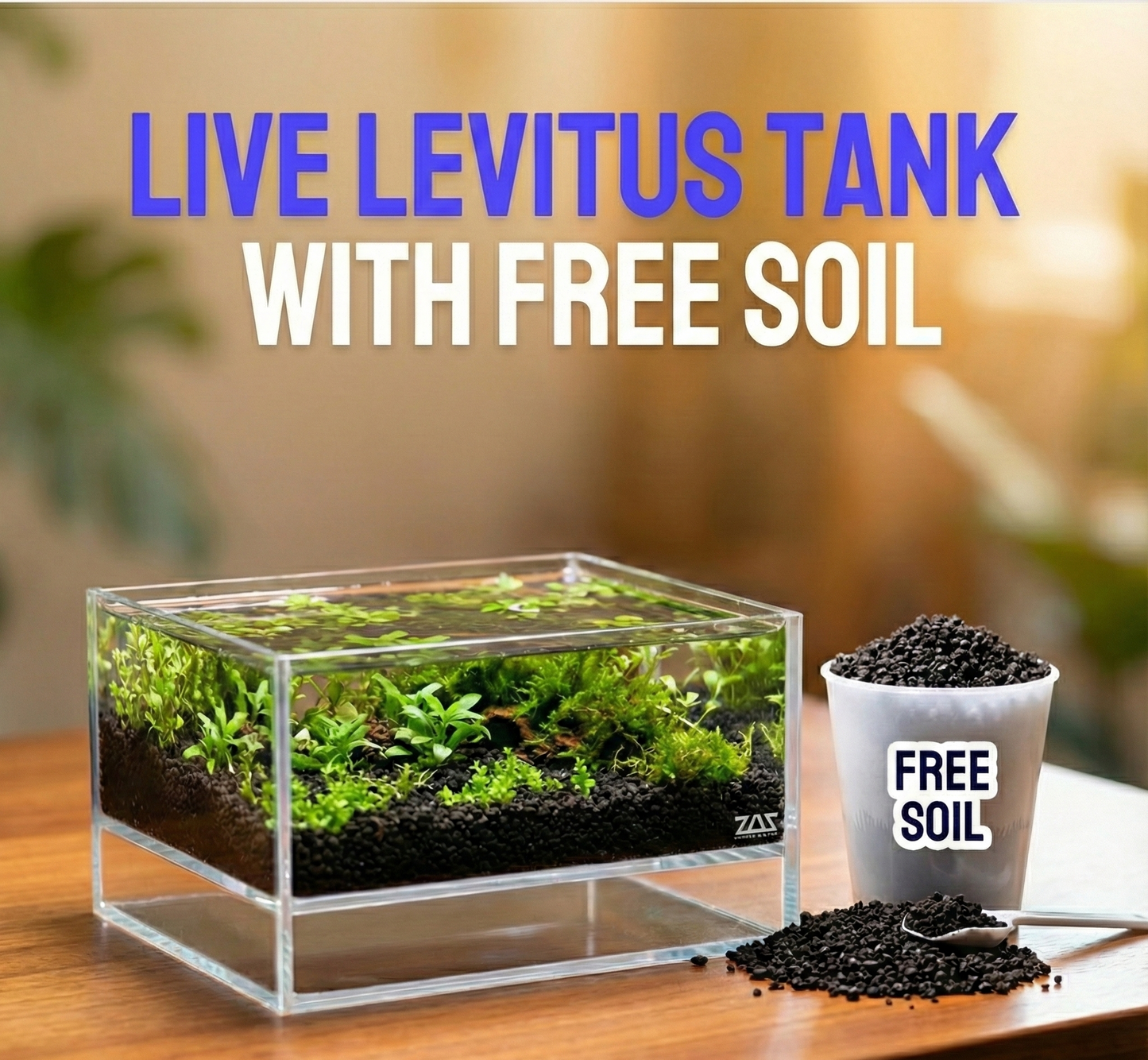 LIVE LEVITUS TANK WITH FREE SOIL - ZAS