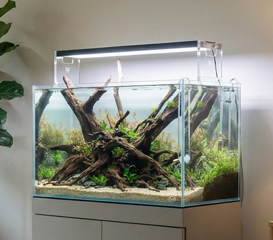 ZAS AQUA PRIME - ZAS