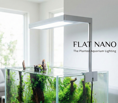 ONF - Flat Nano - Light with Stand - Rose Gold - ZAS