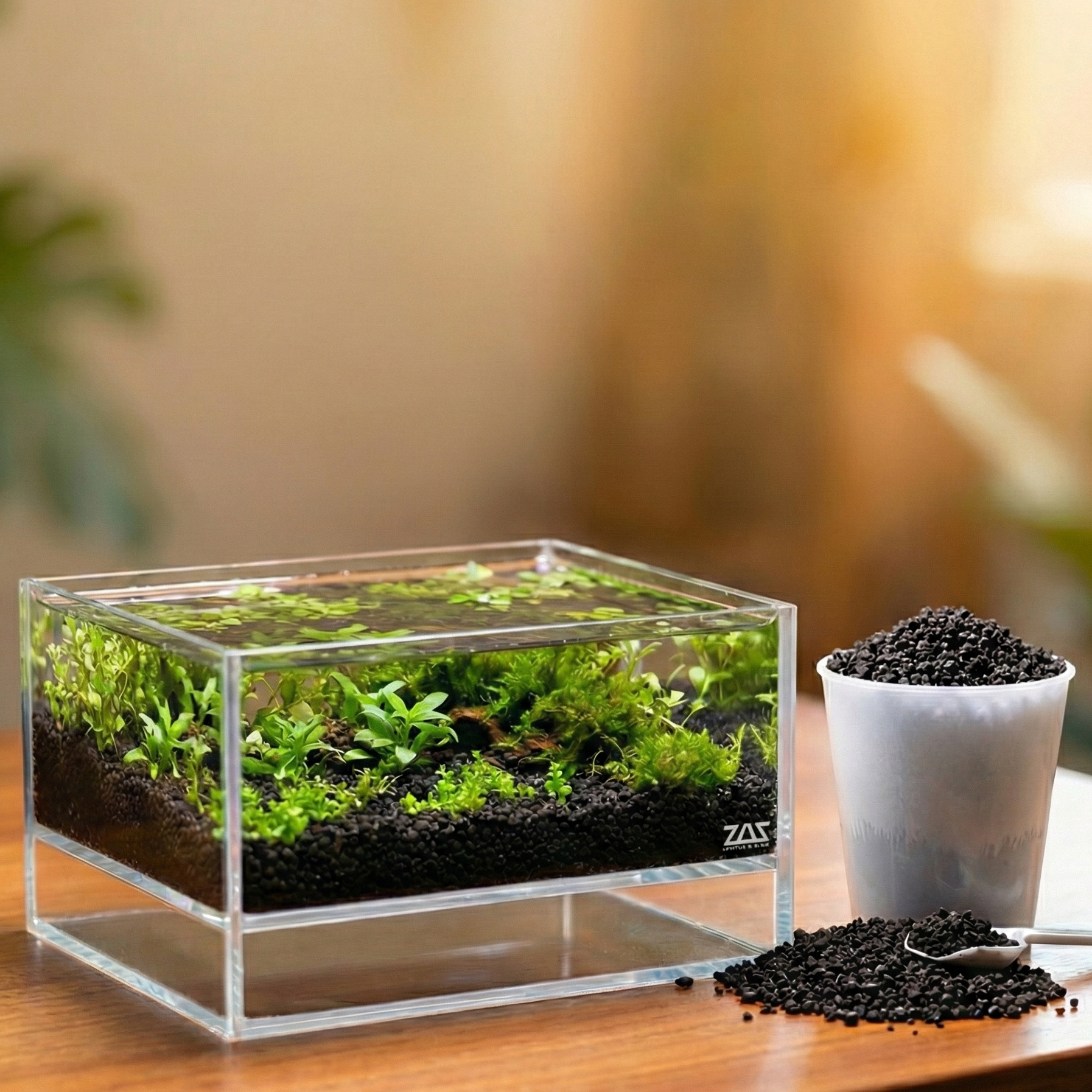 LIVE LEVITUS TANK WITH FREE SOIL - ZAS