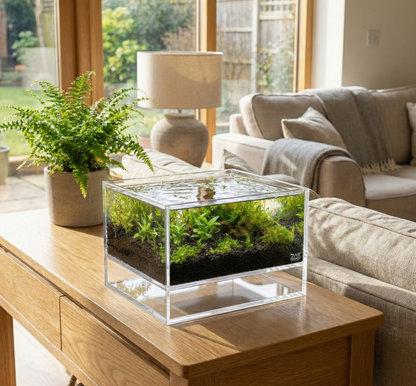 LIVE LEVITUS TANK WITH FREE SOIL - ZAS