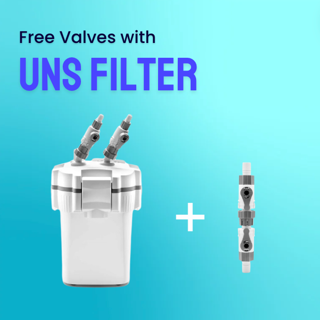 UNS FILTER WITH FREE VALVE