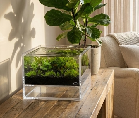 LIVE LEVITUS TANK WITH FREE SOIL - ZAS