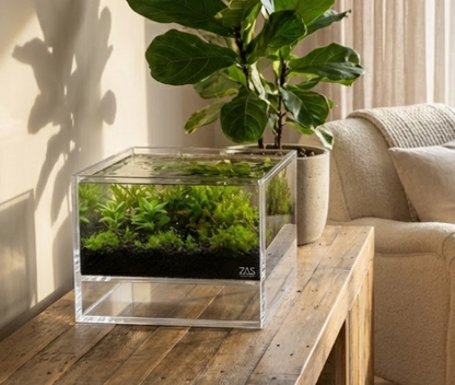 LIVE LEVITUS TANK WITH FREE SOIL - ZAS