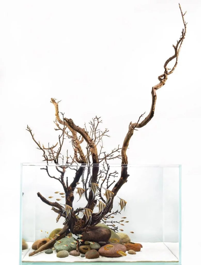 Ultra Clear, Low Iron ZAS Aquarium (120cm x 50cm x 50cm)