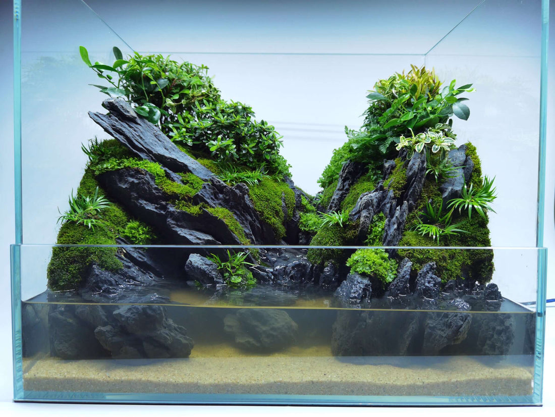 Seiryu Paludarium Waterfall Resin set