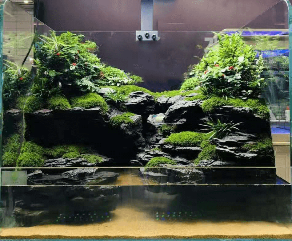 Seiryu II Paludarium Waterfall