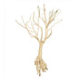 Baby Bonsai Wood (25 - 35cm)