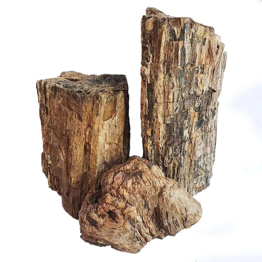 Fossil Wood (10 kg)