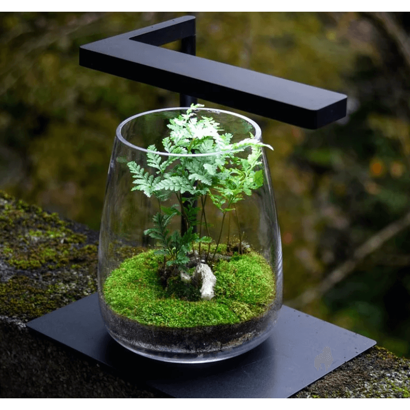 ONF - Flat Nano - Light Stand Kit - Black