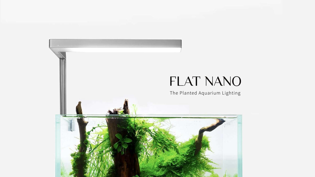 ONF - Flat Nano - Light with Stand - Rose Gold